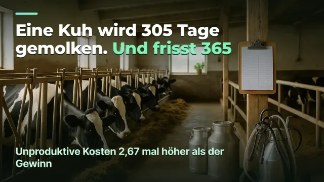 Milchviehbetrieb: 305 Tage Melken, 365 Tage Futter
