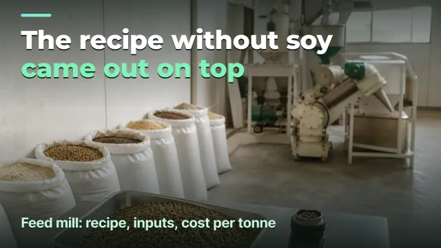 Feed mill: one tonne is not another