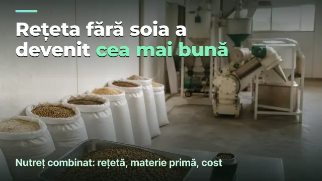 Nutreț combinat: o tonă nu e ca alta