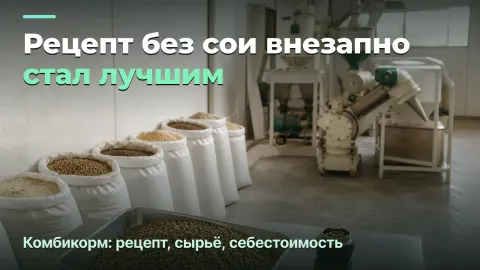 Комбикорм: тонна тонне не равна