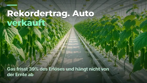 Gewächshaus: Kosten je Kilo statt Kilo je Quadratmeter