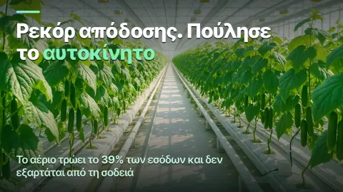 Θερμοκήπιο: κόστος ανά κιλό, όχι κιλά ανά τετραγωνικό