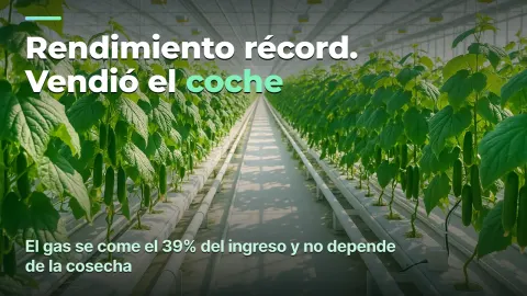 Invernadero: coste por kilo, no kilos por metro cuadrado