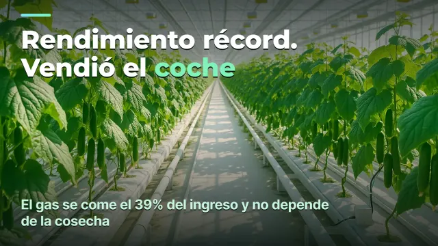 Invernadero: coste por kilo, no kilos por metro cuadrado