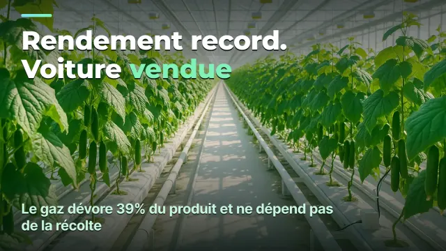Serre : le coût au kilo, pas les kilos au mètre carré