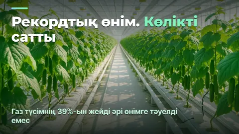 Жылыжай: шаршы метрден түскен келі емес, келінің өзіндік құны