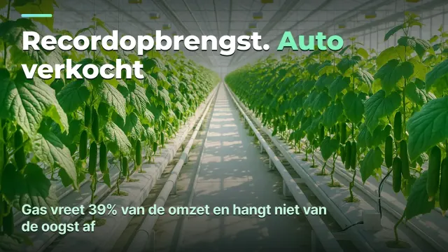 Kasteelt: kostprijs per kilo, niet kilo's per vierkante meter