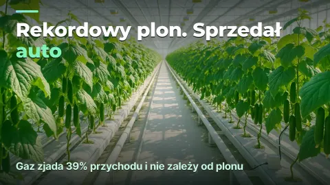 Szklarnia: koszt kilograma, a nie kilogramy z metra