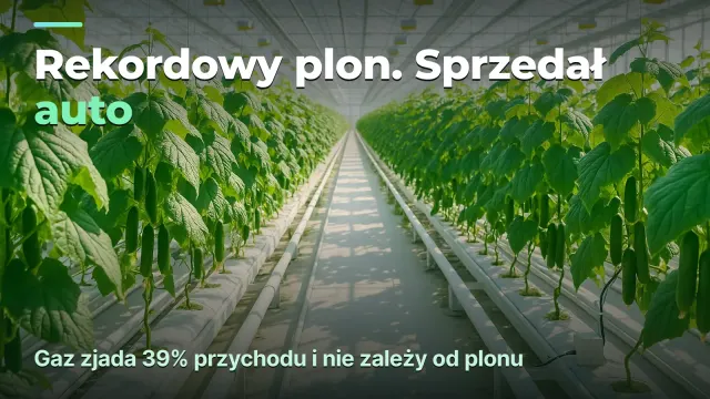 Szklarnia: koszt kilograma, a nie kilogramy z metra