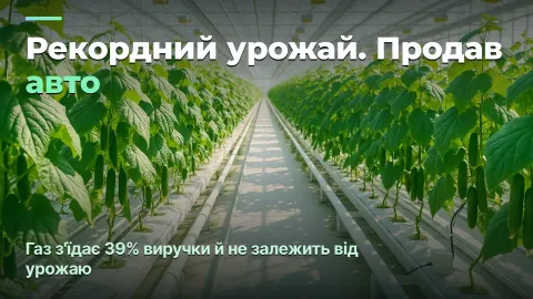 Теплиця: собівартість кілограма, а не кілограми з квадрата