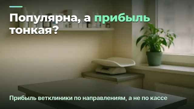 Почему популярная ветклиника зарабатывает мало: прибыль по направлениям, а не по кассе