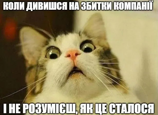 Коли дивишся на збитки компанії і не розумієш, як це сталося