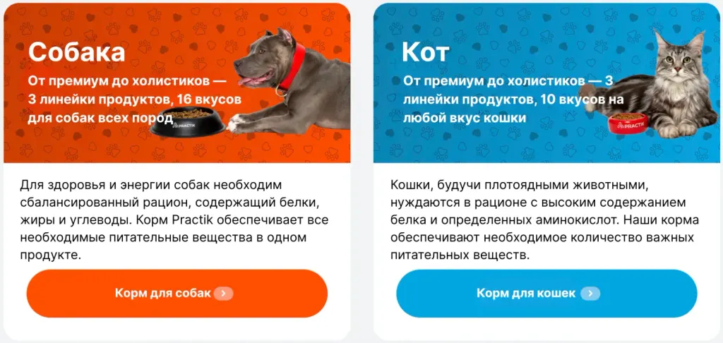 Направления продукции компании Practik