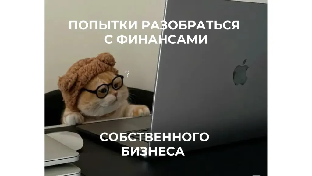 Попытки разобраться с финансами собственного бизнеса