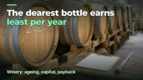 Winery: margin per bottle and margin per year