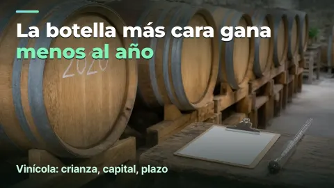 Vinícola: margen por botella y por año