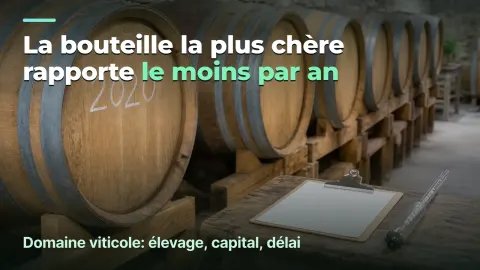 Domaine viticole : marge par bouteille et par an