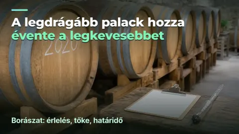 Borászat: marzs palackonként és évente