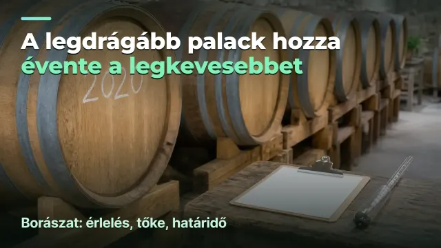 Borászat: marzs palackonként és évente