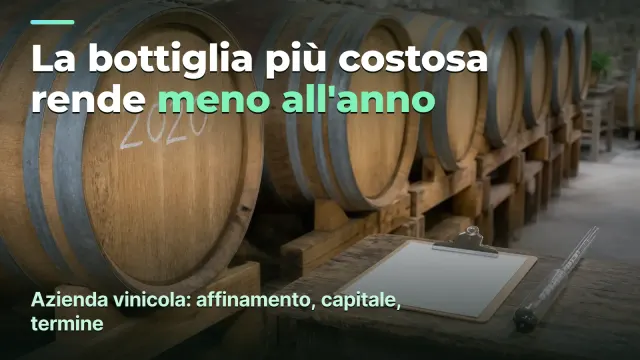 Azienda vinicola: margine a bottiglia e per anno
