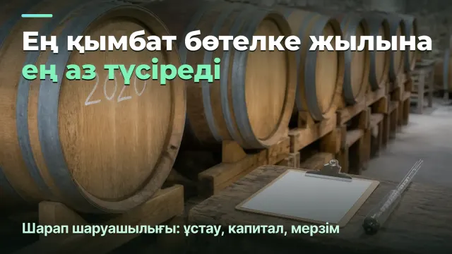 Шарап шаруашылығы: бөтелкеден маржа және жылына маржа