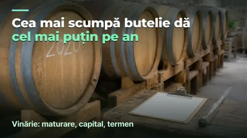Vinărie: marja pe butelie și marja pe an