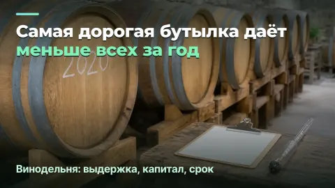 Винодельня: маржа с бутылки и маржа на год
